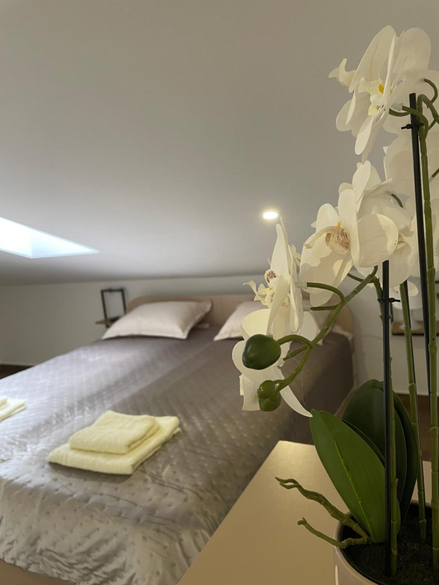 Joy Apartment 6 Belgrado Exterior foto
